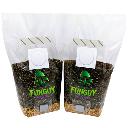 Pack all in one mushroom - 2-pack, all-in-one