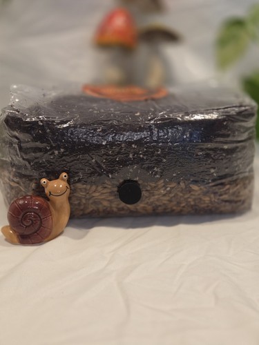 4lb all one - all-in-one, mushroom